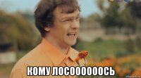  кому лосоооооось