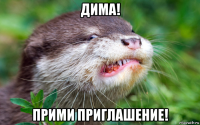 дима! прими приглашение!