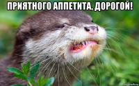 приятного аппетита, дорогой! 
