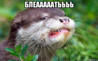 блеааааатьььь 
