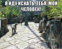 я иду искать, тебя, мой человек! 