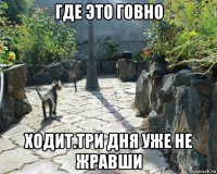где это говно ходит.три дня уже не жравши