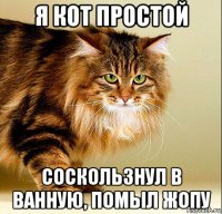 я кот простой соскользнул в ванную, помыл жопу