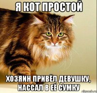 я кот простой хозяин привёл девушку, нассал в её сумку