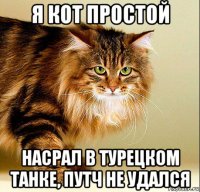 я кот простой насрал в турецком танке, путч не удался
