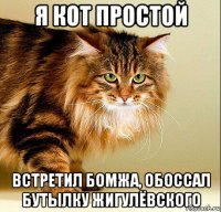 я кот простой встретил бомжа, обоссал бутылку жигулёвского