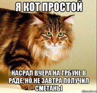 я кот простой насрал вчера на трбуне в раде, но не завтра получил сметаны
