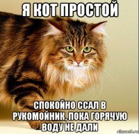 я кот простой спокойно ссал в рукомойник, пока горячую воду не дали