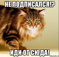 не подписался!? иди от сюда!