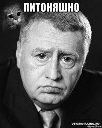 питоняшно 