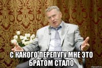  с какого перепугу мне это братом стало