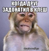 когда друг задонатил в клеш 