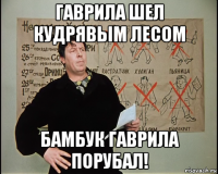 гаврила шел кудрявым лесом бамбук гаврила порубал!