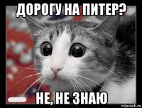 дорогу на питер? не, не знаю