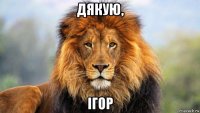 дякую, ігор