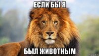если бы я был животным