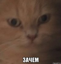  зачем