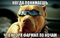 когда понимаешь что не зря фармил по ночам