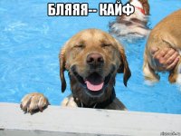 бляяя-- кайф 