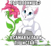 ты че гонишь? я самая белая и пушистая!!