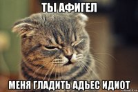 ты афигел меня гладить адьес идиот
