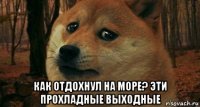  как отдохнул на море? эти прохладные выходные