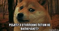  ребят? а отопление летом не включают?