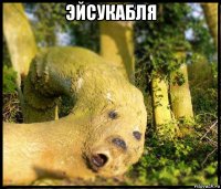 эйсукабля 