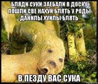 бляди суки заебали в доску пошли све нахуй блять у роды данилы хуилы блять в пезду вас сука