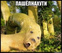 пашёлнахути 