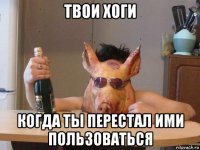 твои хоги когда ты перестал ими пользоваться