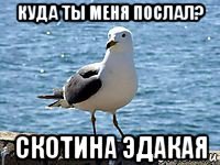 куда ты меня послал? скотина эдакая