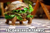  расфиженный раммус