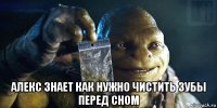  алекс знает как нужно чистить зубы перед сном