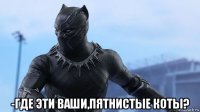  -где эти ваши,пятнистые коты?
