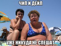 чип и дейл уже никуда не спешат