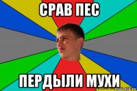 срав пес пердыли мухи