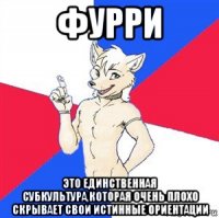 фурри это единственная субкультура,которая очень плохо скрывает свои истинные ориентации