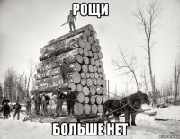 рощи больше нет