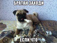 братан заходи если что