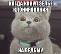 когда кинул зелье клонирования на ведьму