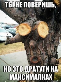 ты не поверишь, но это дратути на максималках