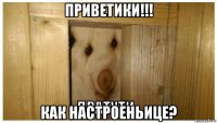 приветики!!! как настроеньице?