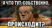 а что тут, собственно, происходит?