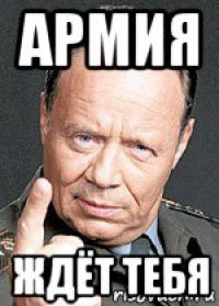 армия ждёт тебя