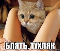  блять, тухляк