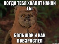 когда тебя хвалят какой ты большой и как повзрослел
