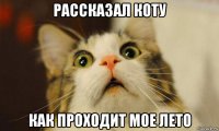 рассказал коту как проходит мое лето