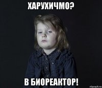харухичмо? в биореактор!