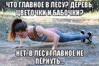 что главное в лесу? деревь, цветочки и бабочки? нет. в лесу главное не пёрнуть...